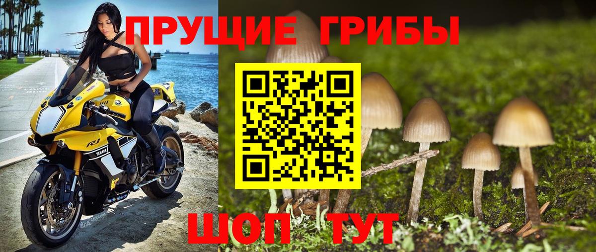 где найти наркотики  Псилоцибиновые грибы прущие грибы  Вход с VPN  Чусовой 